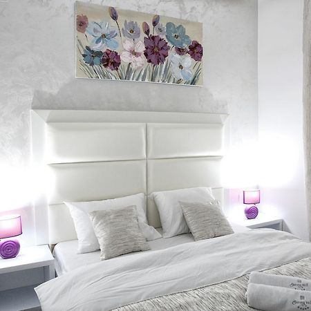 Sunny Hill Garden Bed and Breakfast Stara Pazova Buitenkant foto